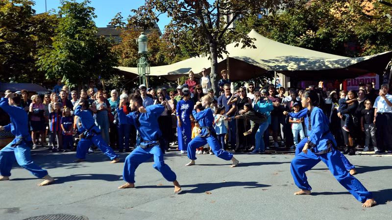 A performance of Vietnamese martial arts at the cultural day in Lucerne (Photo: VNA)