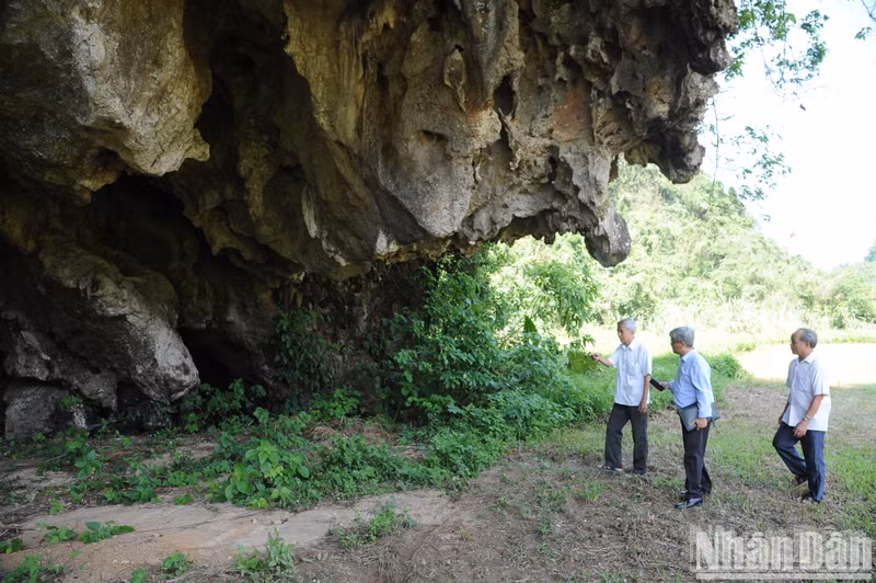 Journalist Ha Hong (centre), son of journalist Ngo Thi, along with two witnesses, Nguyen Quang Chinh (left) and Nguyen Dau (right), inside the Journalist Cave during a Nhan Dan Newspaper delegation’s visit in 2018. (Photo: TRAN HAI) Journalist Ha Hong (centre), son of journalist Ngo Thi, along with two witnesses, Nguyen Quang Chinh (left) and Nguyen Dau (right), inside the Journalist Cave during a Nhan Dan Newspaper delegation’s visit in 2018. (Photo: TRAN HAI)