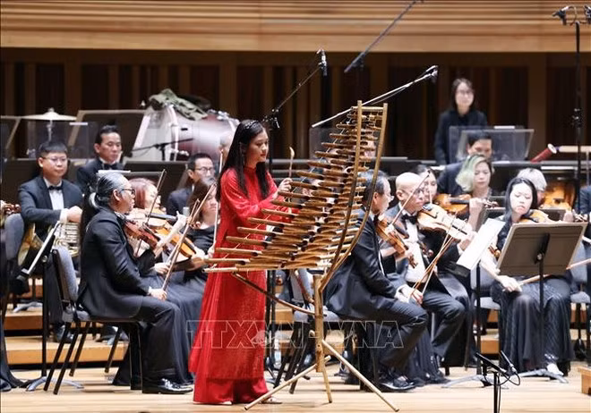 A performance at the event (Photo: VNA)