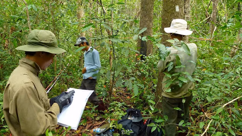 Forest inventory activities. (Photo: TRAN LAM-HANH VAN)
