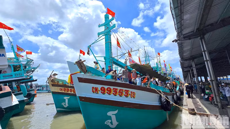 The fleet at Song Doc Fishing Port prepares to set sail for the whale worshipping ritual.