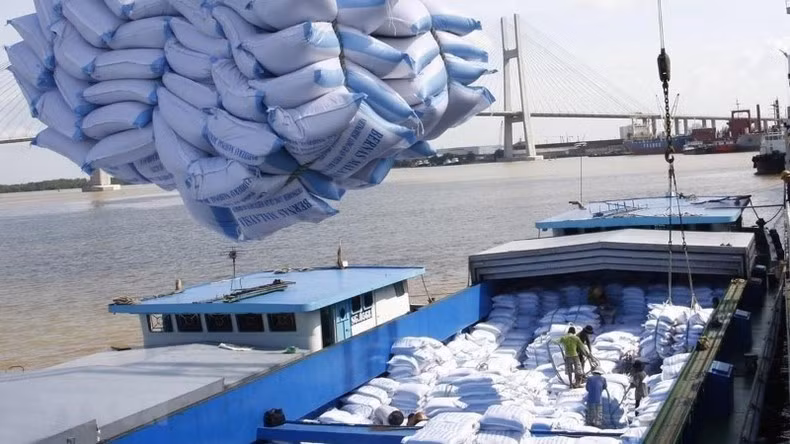 Rice is loaded for export at Saigon Port. (Photo: VNA)