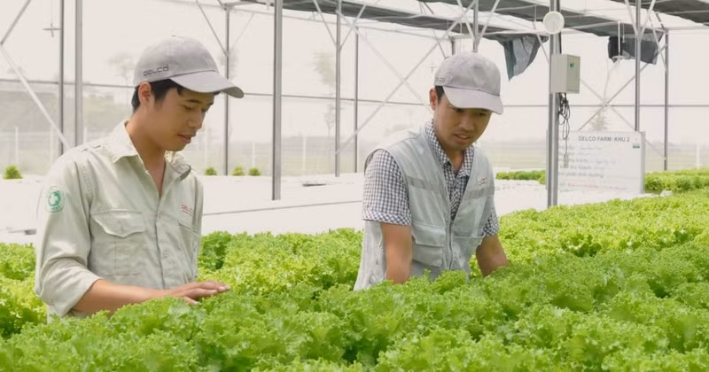Green and clean production with low emissions has become an irreversible trend, closely tied to Viet Nam's efforts toward emission reduction and sustainable development.