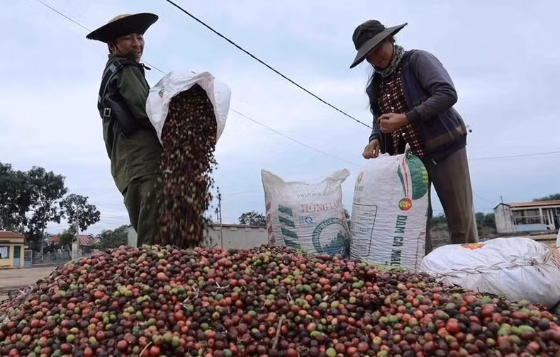 Key products such as seafood, wood, coffee, vegetables, cashew nuts, and Vietnamese handicrafts are all groups of goods in high demand in the UK.