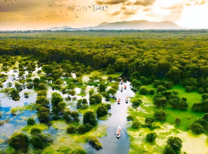 A corner of Tra Su Melaleuca Forest seen from above. A corner of Tra Su Melaleuca Forest seen from above.