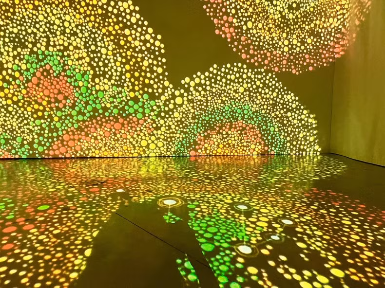 A light performance at the exhibition (Photo: NDO)