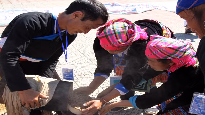 The cooked sticky rice will be put into a mortar to be pounded.