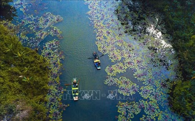 Boats sail to Thung Nang (Sunshine Valley), a tourist attraction in Ninh Binh (Photo: VNA)