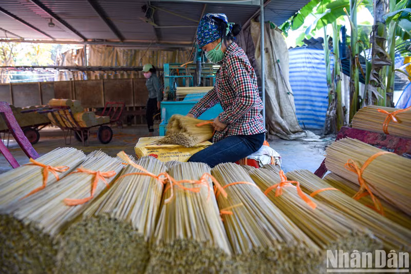 In the past, people mainly split the sticks by hand, but today thanks to machines, this stage is much faster, contributing to improved productivity. In the past, people mainly split the sticks by hand, but today thanks to machines, this stage is much faster, contributing to improved productivity.