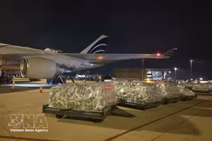The shipments are unloaded at the airport. (Photo: VNA broadcasts)