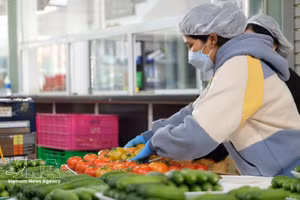 Vegetables and fruits remain among the key foreign currency earners of Lam Dong province, with export turnover estimated at 30.42 million USD in the first quarter of 2026. (Photo: VNA)