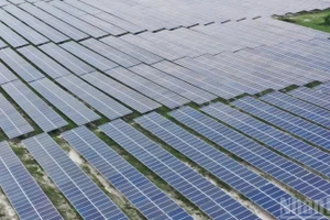 The solar panels at the Phong Phu solar farm in Lam Dong Province. (Photo: Van Duy)