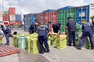 Customs officers inspect an imported shipment from Canada to Viet Nam containing smuggled cigarettes.