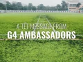 Video: New Year greetings for the Year of the Horse from G4 Ambassadors