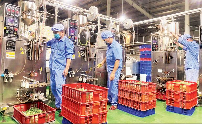 Working scene at the pencil jelly production workshop, Vietfoods Factory in Hapro Industrial Park (Thuan An Commune, Ha Noi). (Photo: HT) 230725-tang-luong-toi-thieu-vung-2.png