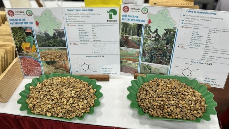 Vietnamese coffee must move towards refined processing. (Photo: HNV) 250725-ca-ngu-ca-phe-2.jpg
