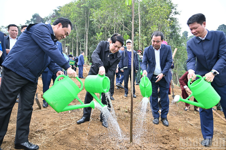 State President Luong Cuong and delegates plant trees at the ceremony.
