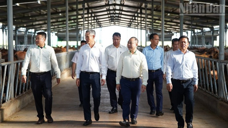 The working delegation of the Vietnamese Embassy in Cambodia visiting the THACO Group project in Rattanakiri. (Photo: DINH TRUONG) 090825-hop-tac-vn-dong-bac-cpc-3.jpg