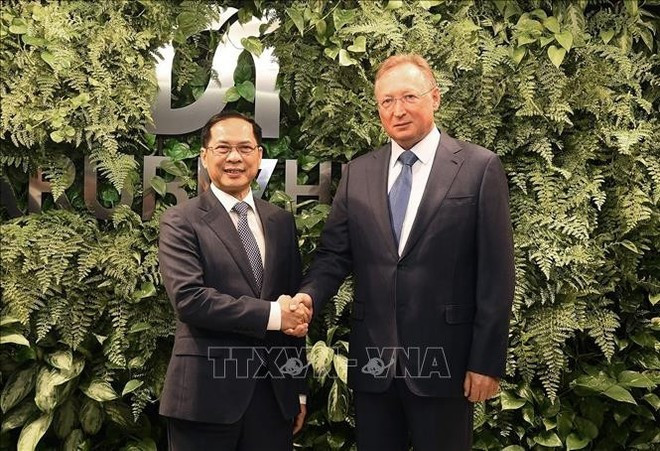 Deputy Prime Minister Bui Thanh Son (L) receives Zarubezhneft General Director Sergei Kudryashov. (Photo: VNA) 161025-btson.jpg