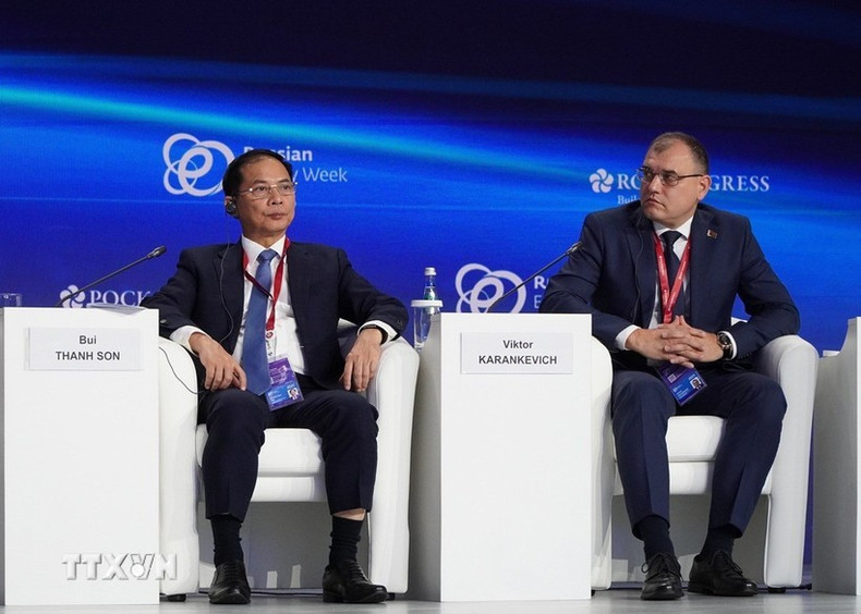Deputy Prime Minister Bui Thanh Son at the forum (Photo: VNA) 161025-tuan-le-nuan-gluowngj.jpg