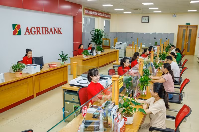 Spreading capital across the Vietnamese economy