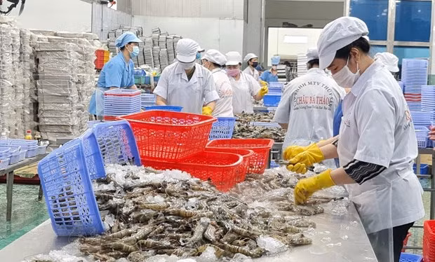 The agro-forestry-fishery export turnover in 2022 posts a new record (Photo: VNA) 