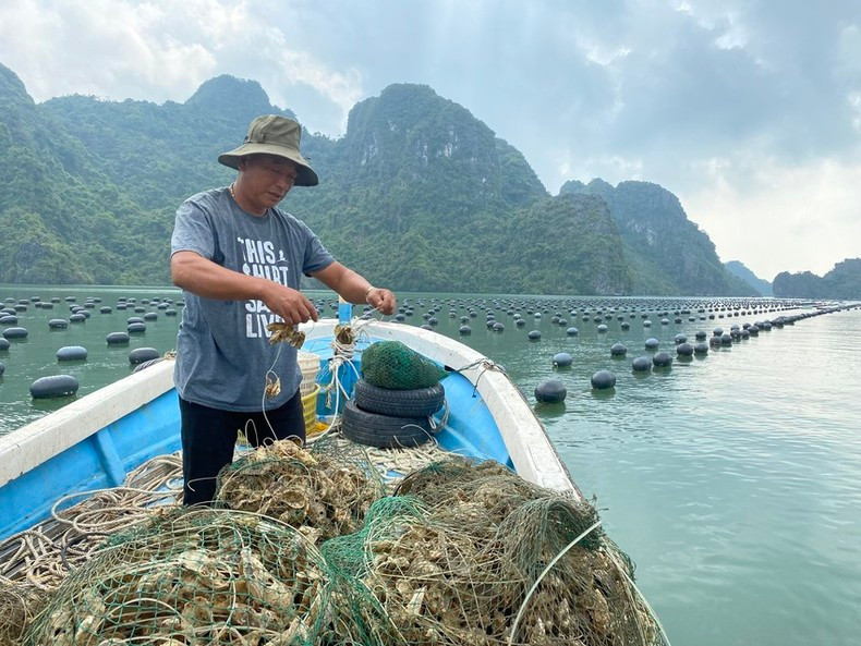 A local fisherman restores production after Typhoon Yagi.