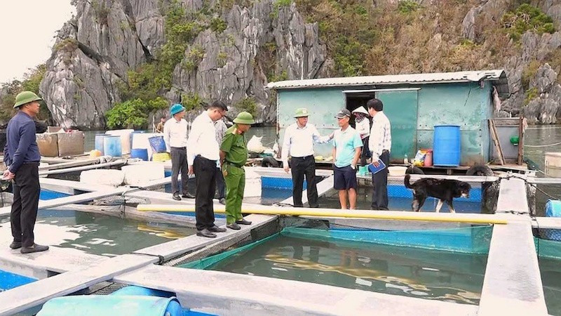 Van Don officials visit an aquaculture facility.