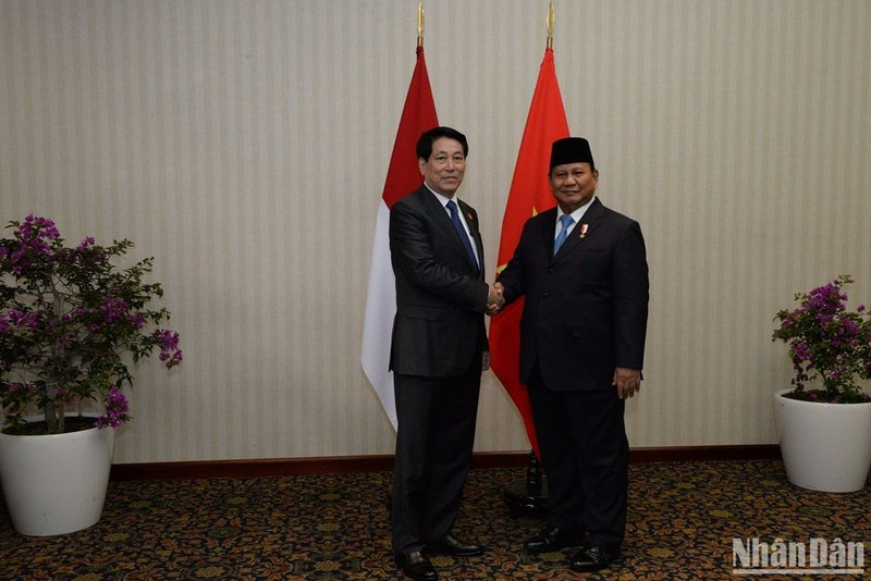 President Luong Cuong and his Indonesian counterpart Prabowo Subianto. (Photo: NDO)