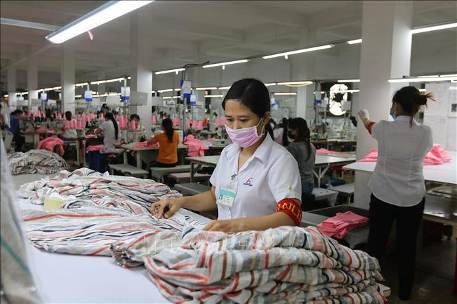 HCM City: number of newly-established firms down in January