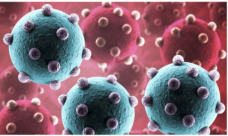 Cambodia confirms second human case of H5N1 avian flu