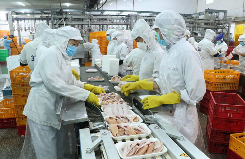 Finance Ministry proposes continuing tax deferral policy for enterprises 