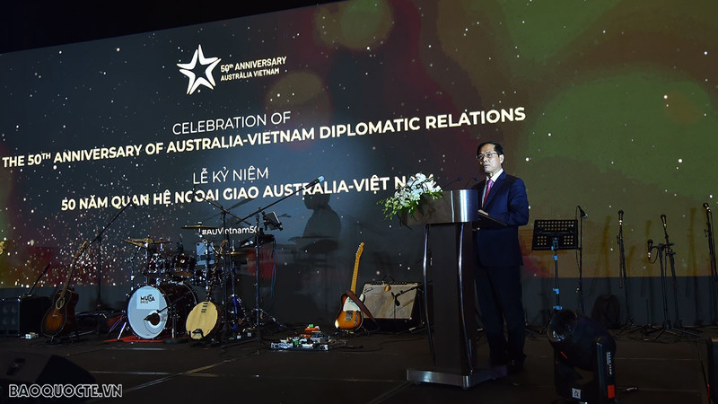 Vietnamese Minister of Foreign Affairs Bui Thanh Son speaks at the event. (Photo: baoquocte.vn)
