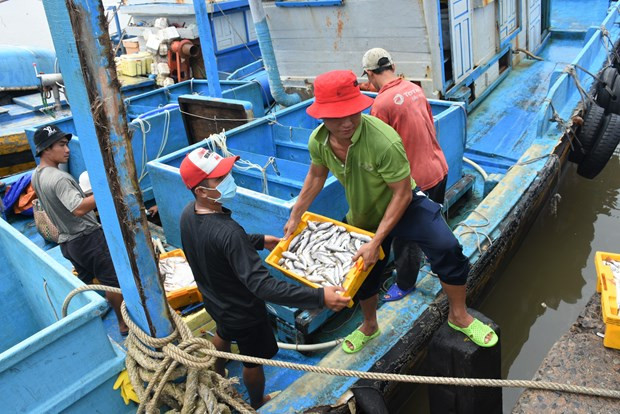 Fishermen in Phuoc Tinh commune of Long Dien district in Ba Ria-Vung Tau province. (Photo: VNA)