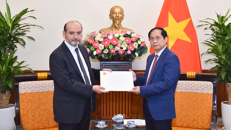 Vietnamese Minister of Foreign Affairs Bui Thanh Son (R) and Turkish Ambassador to Vietnam Haldun Tekneci (Photo: baoquocte.vn)
