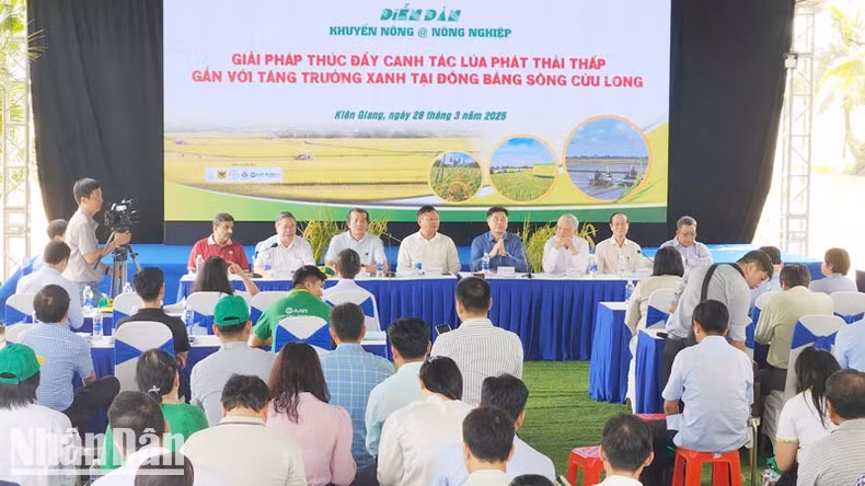 The forum on promoting low-emission rice cultivation in the Mekong Delta.