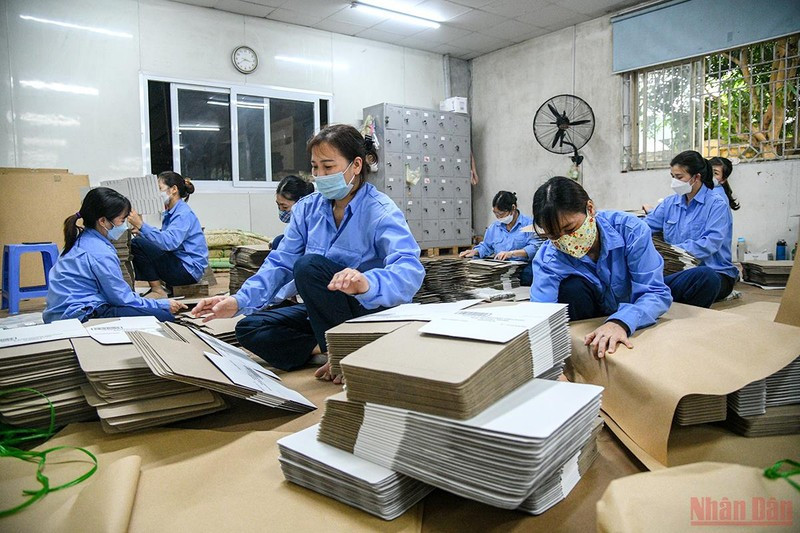 The directive underscored the pivotal role of the private sector, particularly SMEs, which constitute 98% of all active businesses in the country.