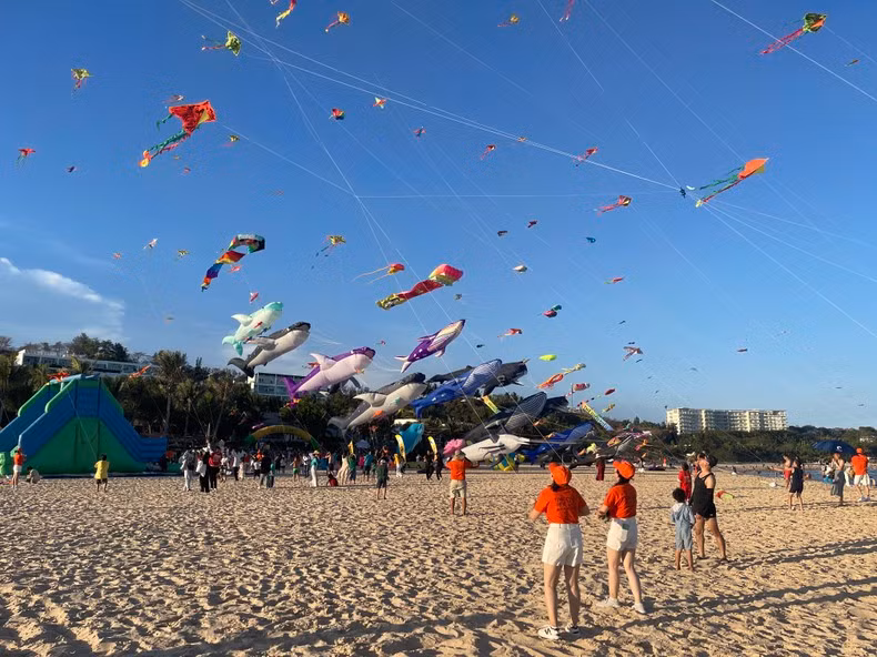 Visitors are excited about flying kites on the beach.
