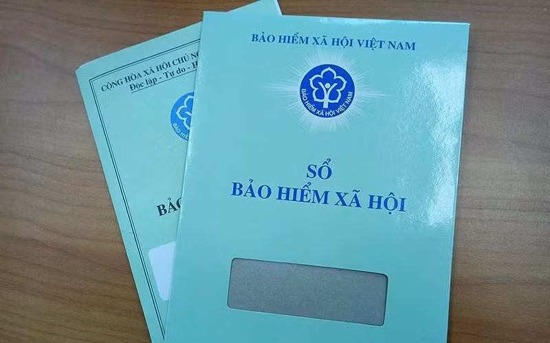 Over 17 million join social insurance