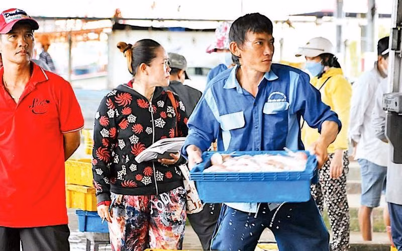 Vietnam's coastal provinces and cities are making great efforts to prevent IUU fishing.