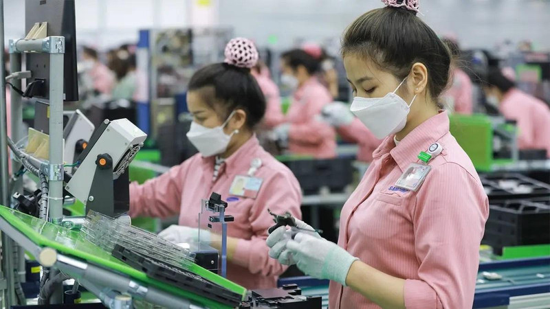 Many international corporations have established development centres or cooperated with IT service providers in Vietnam.