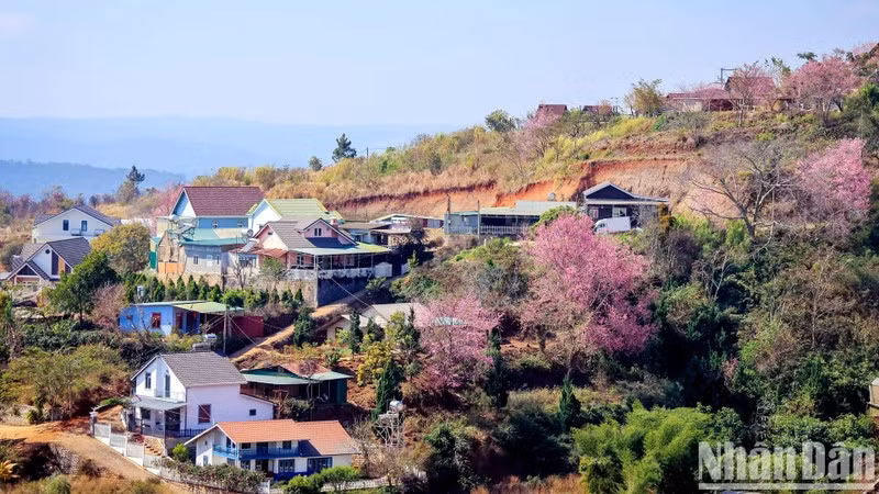 Da Lat is one of the top nature destinations in Asia.