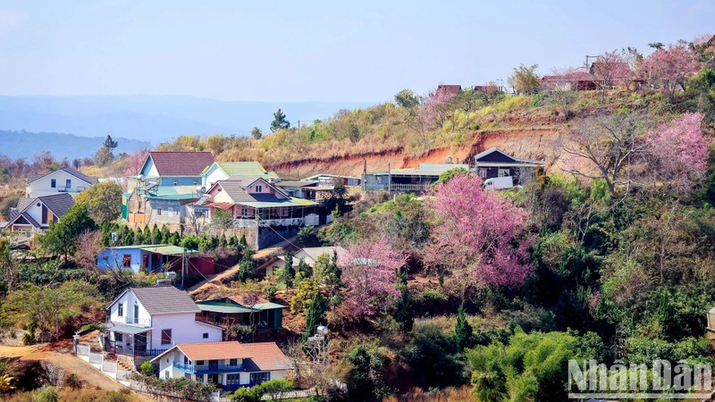 Da Lat is one of the top nature destinations in Asia.