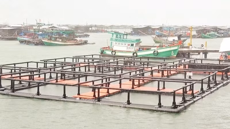 Marine fish farming model using HDPE plastic cages. 