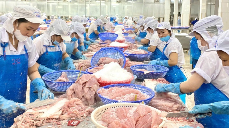 Viet Nam exported 640 million worth of shark catfish in the first four months of 2025.
