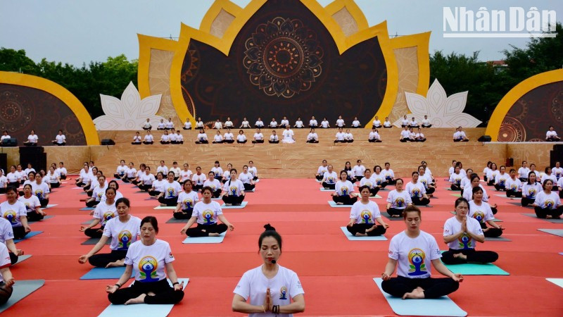 A synchronised yoga performance featuring over 300 participants at the festival. (Photo: Quoc Dat) 