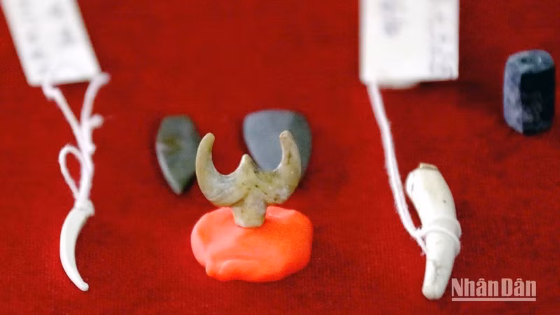 Jade earrings, artefacts excavated at Vuon Chuoi. (Photo: VUONG ANH)