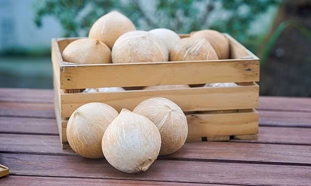 Vietnam gets green light to export fresh husked coconut to US. (Illustrative Image/Photo: nongnghiep.vn)