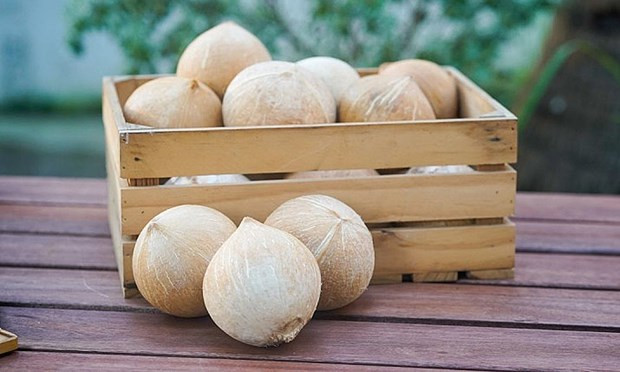 Vietnam gets green light to export fresh husked coconut to US. (Illustrative Image/Photo: nongnghiep.vn)