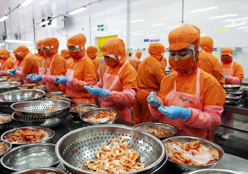 The total number of new enterprises in the first seven months of 2023 rose by 0.2% over the same period last year.